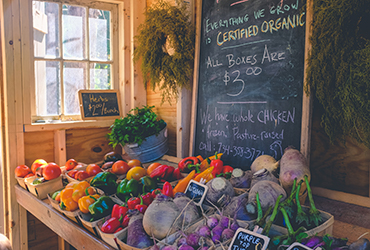 Going An Extra Mile For Organic With Biodynamic Farming