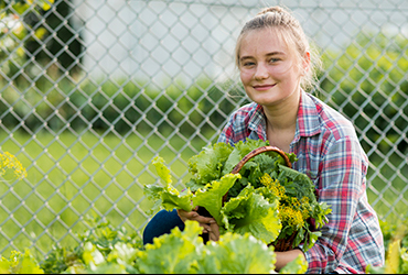 Supercharge Your Immune System With Fresh Vegetables