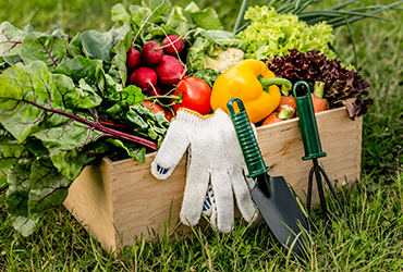 Supercharge Your Immune System With Fresh Vegetables