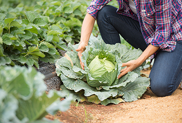 7 Ways To Support Farmers Who Bring Fresh Food For Us